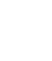 Phần tử thống kê 1